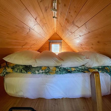 Studio Or Cabin On Whitby Нельсон Экстерьер фото